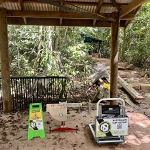 Pendulum testing a rainforest hut in Cow Bay, Douglas Shire